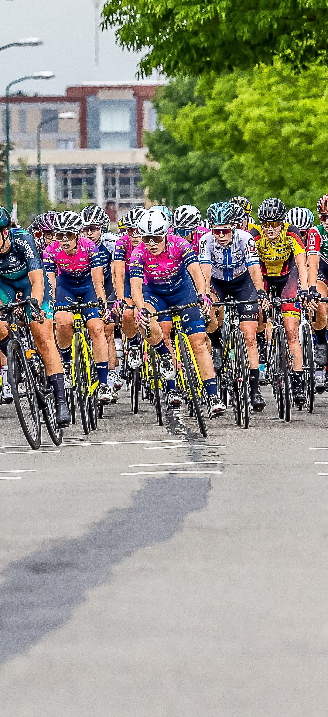 Startlijsten bekend: wie pakt de winst?